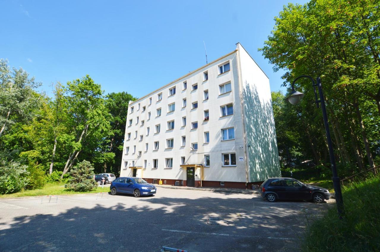 Fiore Sopot Niepodleglosci Luaran gambar